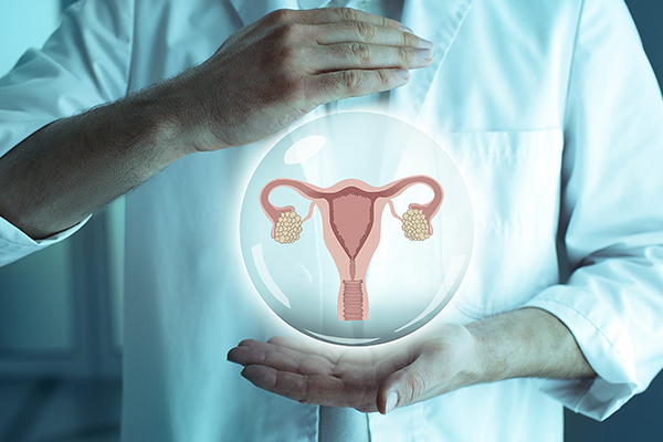 Testing Your Ovarian Reserve Ark Ivf 